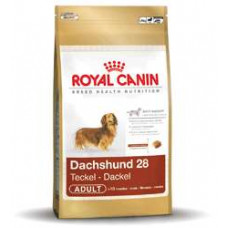 DACHSHUND ADULT 1.5 KG