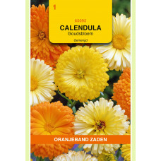 OBZ CALENDULA, GOUDSBLOEM GEMENGD