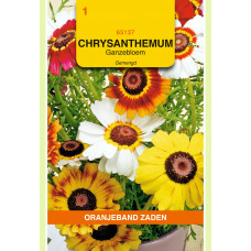 OBZ CHRYSANTHEMUM, GANZENBLOEM GEMENGD