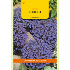 OBZ LOBELIA CRYSTAL PALACE