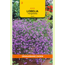 OBZ LOBELIA SAPHIR, BLAUW