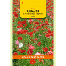 OBZ PAPAVER, KLAPROOS ENKELBLOEMIG SHIRLEY