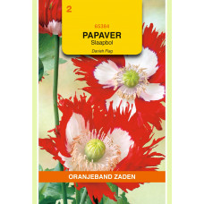 OBZ PAPAVER, SLAAPBOL DANISH FLAG