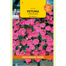 OBZ PETUNIA PINK WAVE F1, FORTUNIA SERIE