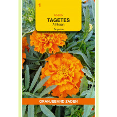 OBZ TAGETES, AFRIKAAN TANGERINE