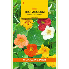 OBZ TROPAEOLUM, OOST-INDISCHE KERS TOM THUMB ENKELBL.GEMENGD