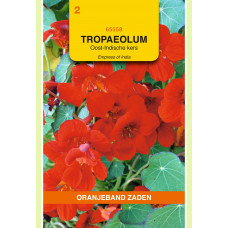 OBZ TROPAEOLUM, OOST-INDISCHE KERS EMPRESS OF INDIA ROOD