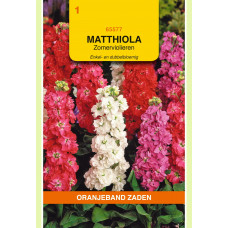 OBZ MATTHIOLA, ZOMERVIOLIEREN ENKEL- EN DUBBELBLOEMIG