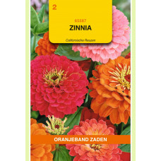 OBZ ZINNIA CALIFORNISCHE REUZEN GEMENGD