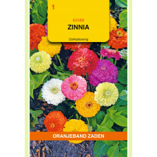 OBZ ZINNIA DAHLIABLOEMIG GEMENGD