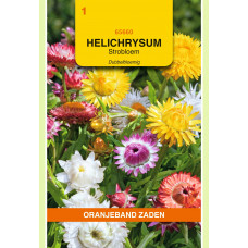 OBZ HELICHRYSUM, STROBLOEM DUBBELBLOEMIG GEMENGD