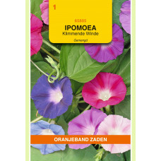 OBZ IPOMOEA, KLIMMENDE WINDE, GEMENGD