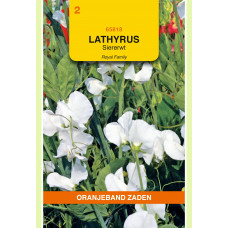 OBZ LATHYRUS, REUK- OF SIERERWT ROYAL, WIT