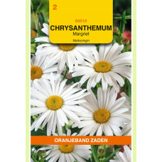 OBZ CHRYSANTHEMUM, MARGRIET MEIKONINGIN