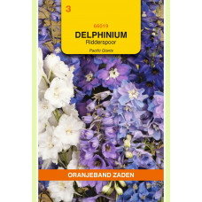 OBZ DELPHINIUM, RIDDERSPOOR PACIFIC GIANTS