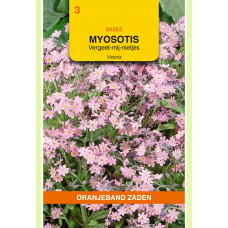 OBZ MYOSOTIS, VERGEET-MIJ-NIET VICTORIA, ROZE