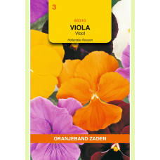 OBZ VIOLA, VIOOL HOLLANDSE REUZEN GEMENGD