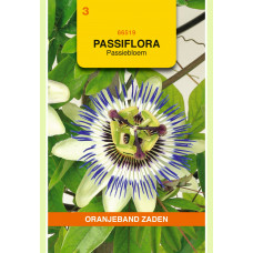 OBZ PASSIFLORA, PASSIEBLOEM