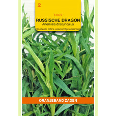 OBZ DRAGON RUSSISCHE