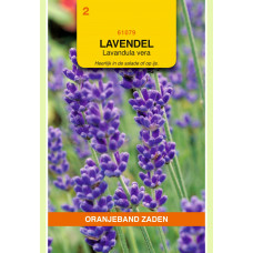 OBZ LAVENDEL