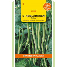 OBZ STAMSLABONEN CALIMA (HARICOTS VERTS), 50G