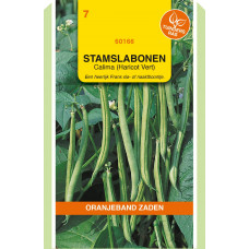 OBZ STAMSLABONEN CALIMA (HARICOTS VERTS), 100G