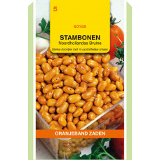 OBZ STAMBONEN NOORDHOLLANDSE BRUINE, 100G