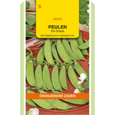 OBZ PEULEN DE GRACE, 100G