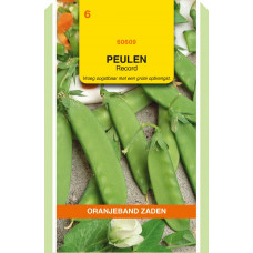 OBZ PEULEN RECORD, 100G