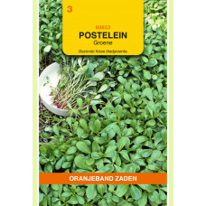 OBZ POSTELEIN GROENE