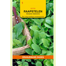 OBZ RAAPSTELEN GROENE GEWONE