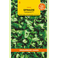 OBZ SPINAZIE CAMPANIA F1, 15G