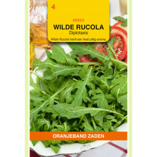 OBZ WILDE RUCOLA - DIPLOTAXIS