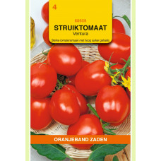 OBZ TOMATEN VENTURA (WORDT ROMA VF)