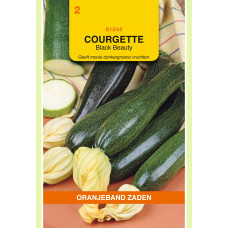 OBZ COURGETTE BLACK BEAUTY