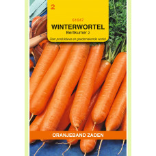 OBZ WINTERWORTELEN BERLIKUMER 2