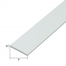 PLATTE STANG PVC WIT 20X2/2M